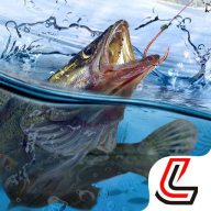 天天钓鱼2024最新版v1.9