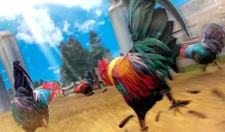 农场斗鸡2游戏截图1