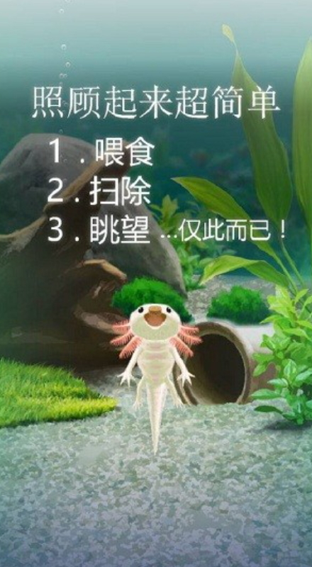 治愈的蝾螈游戏截图2