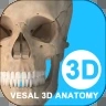 维萨里3D解剖学生版手机版最新版v6.9.1