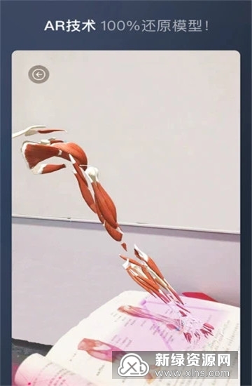 维萨里3D解剖学生版手机版最新版截图1