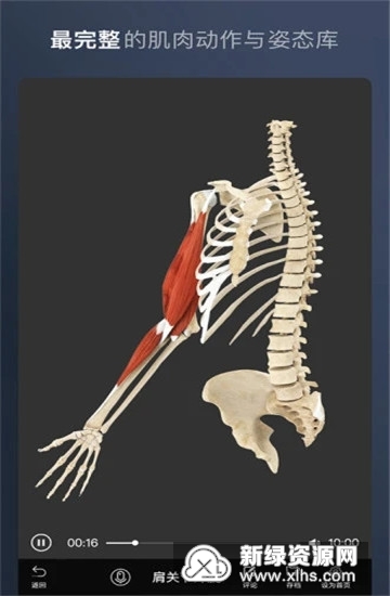 维萨里3D解剖学生版手机版最新版截图2