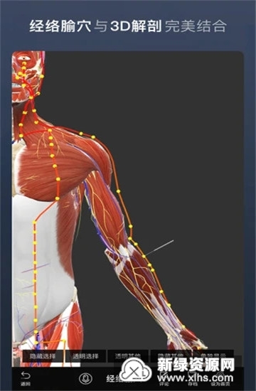 维萨里3D解剖学生版手机版最新版截图3