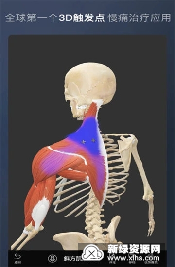 维萨里3D解剖学生版手机版最新版截图4