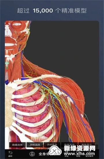 维萨里3D解剖学生版手机版最新版截图5