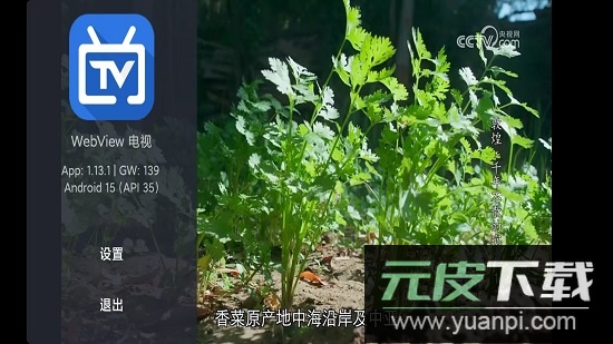 Webview电视版安装包更新最新版本截图6