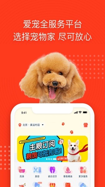 宠物家最新版截图2