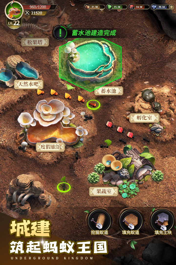 小小蚁国37版本下载截图5