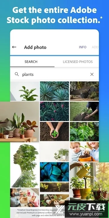 Adobe Express(adobe设计软件手机版app)截图5