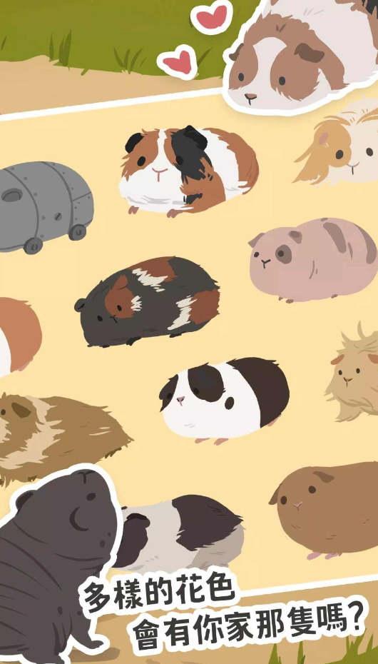 天竺鼠农场游戏官方版