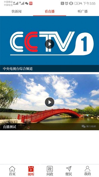 云上临颍问政平台截图3