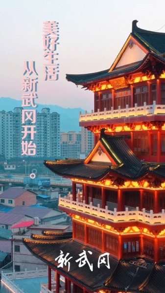 新武冈手机版截图3