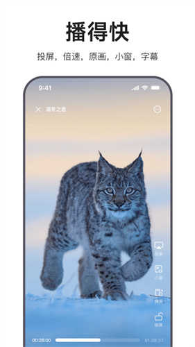 迅雷浏览器纯净版截图2