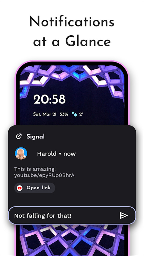 Niagara Launcher截图5