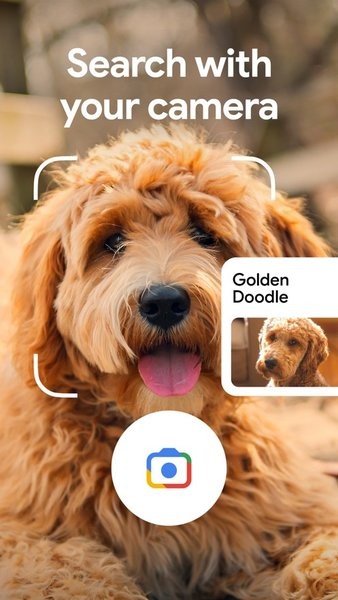 Google谷歌搜索手机版截图4