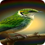 小岭电视app官方版v1.0.7