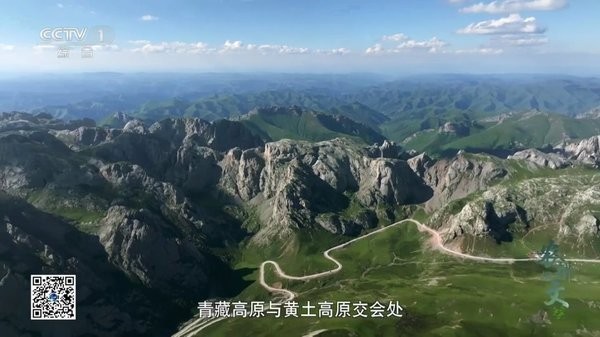 小岭电视app官方版截图3