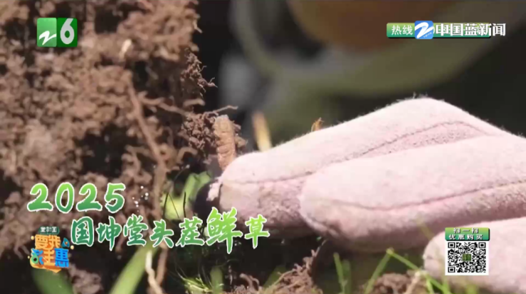 苦瓜tv影视截图3