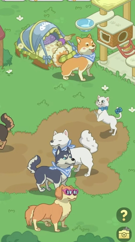 我的小海岛无限金币版