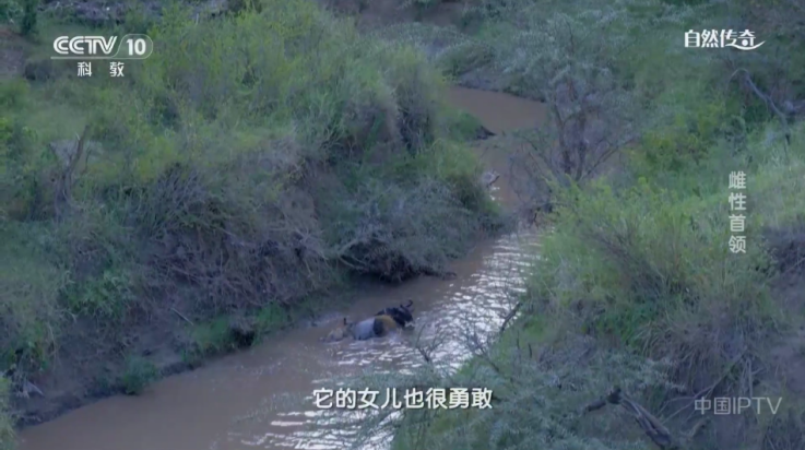 皮皮影视最新版截图1