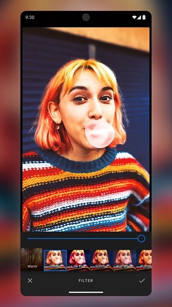 宝丽来hiprint安装包截图2