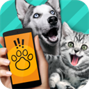 动物翻译器最新版(Pet Translator)v1.1
