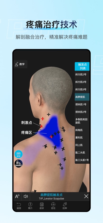 解剖大师app官方下载截图3