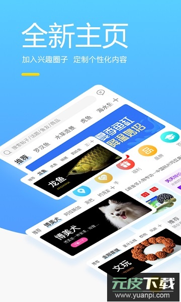 龙巅兴趣联盟截图1