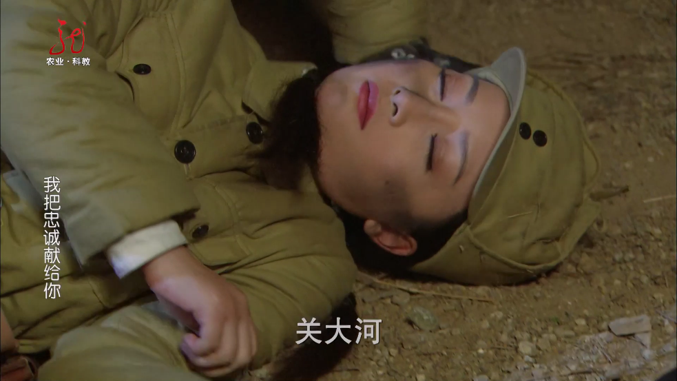 东岳4K影视app官方正版截图4