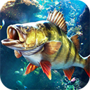 欢乐钓鱼大师正版v1.0.0.61221