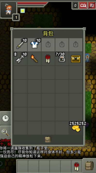 暗黑的像素地牢正版(Darkest Pixel Dungeon)截图5