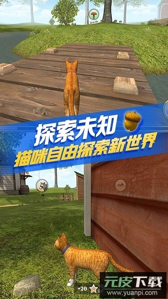 猫咪生存模拟器喵喵大冒险截图1