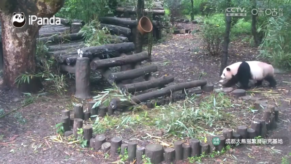 马里奥tv电视版截图4