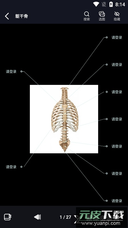 影像解剖图谱电子版高清版截图5