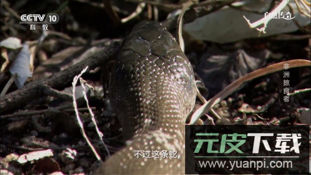 星城直播app电视版截图3