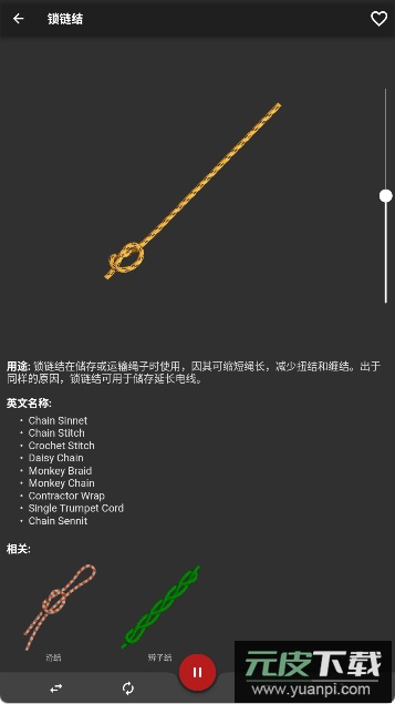 Knots 3D最新高级版截图1
