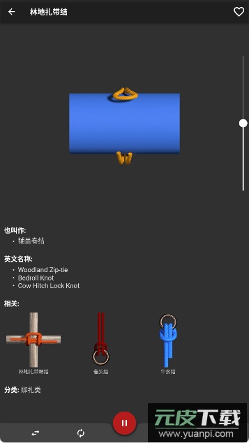 Knots 3D最新高级版截图2
