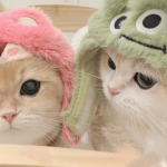 嘤嘤怪影视app官方版v2.6