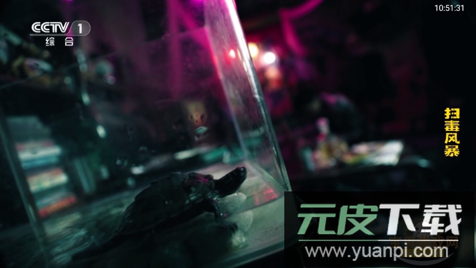 极速音乐tv版最新版本2025截图1