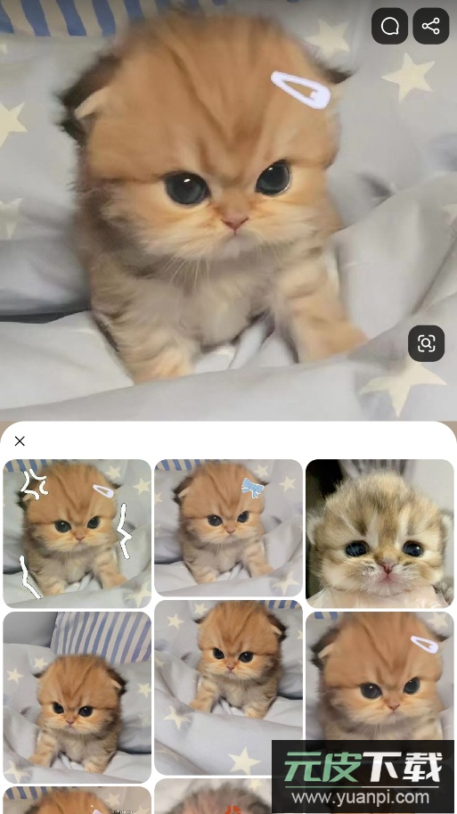 Pinterest安卓手机app最新版截图5
