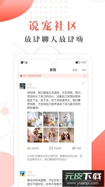 宠才宝软件截图1