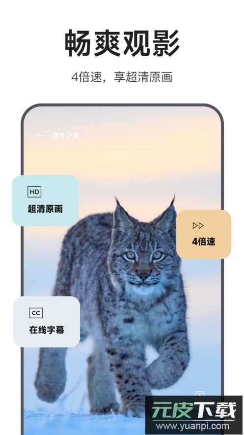 迅雷浏览器2026版下载安装截图1