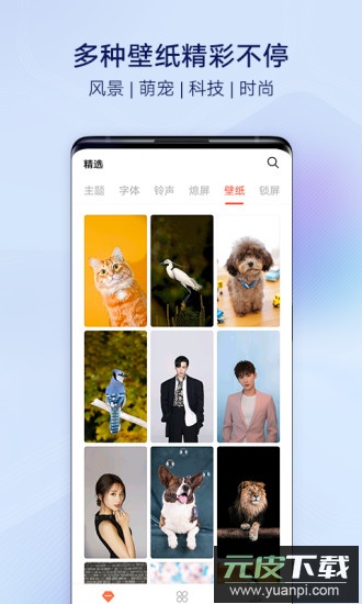 vivo主题商店官方正版截图4