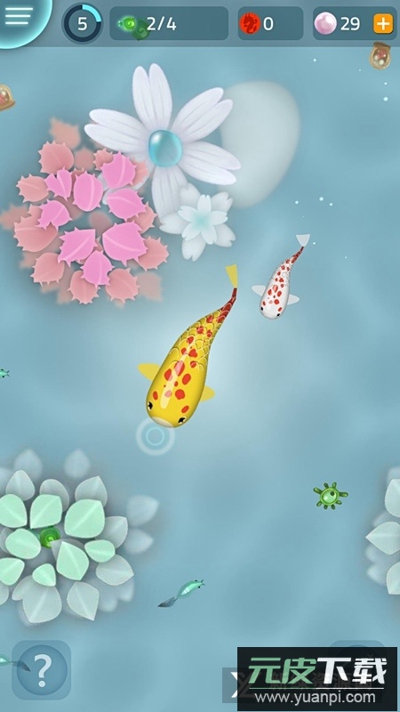 Zen Koi Classic禅宗锦鲤安卓版安装包截图5