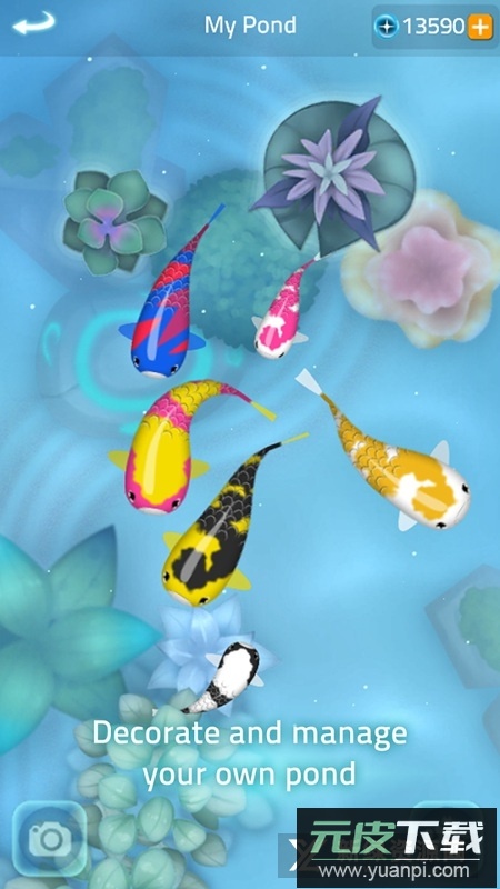 Zen Koi 2禅宗锦鲤2最新版安卓版截图5