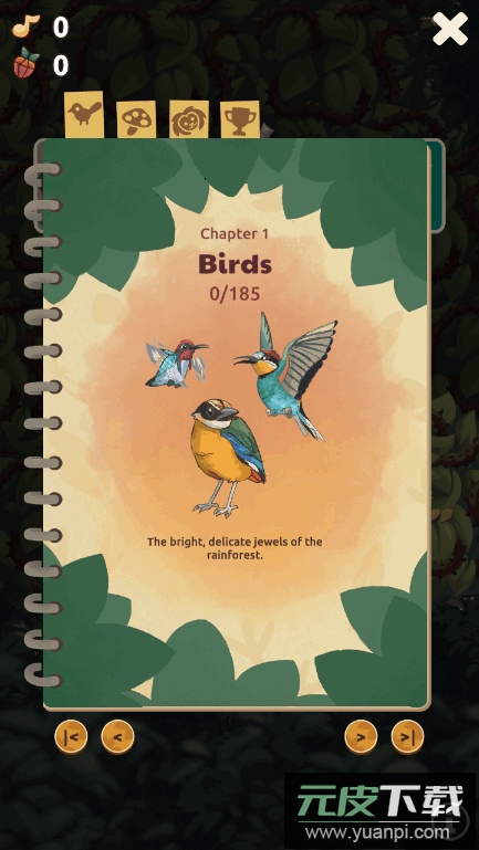 鸟类世界(Bird Kind)国际服截图1