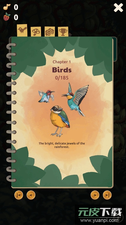 鸟类世界(Bird Kind)国际服截图2