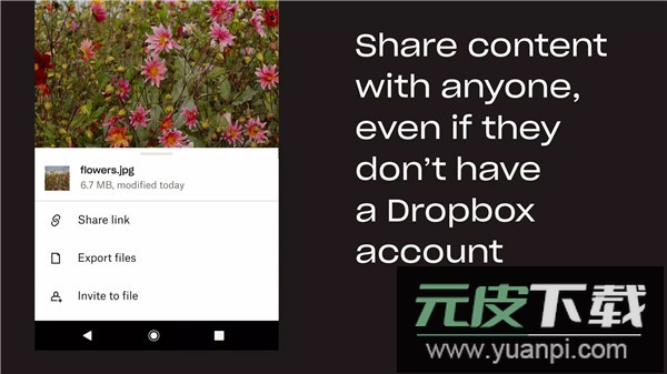 dropbox安卓版截图2