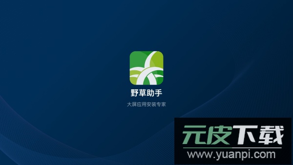 野草助手tv版安装包截图2