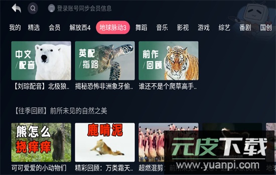 哔哩哔哩小爱提取版app最新版本截图7